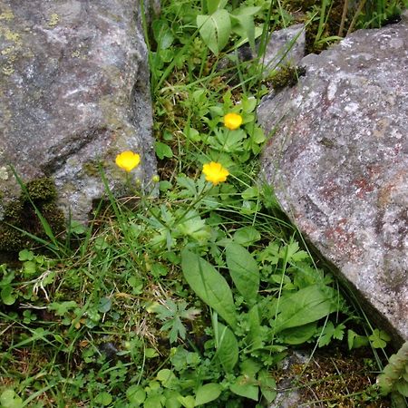 Landhaus Tirol Zellberg ภายนอก รูปภาพ