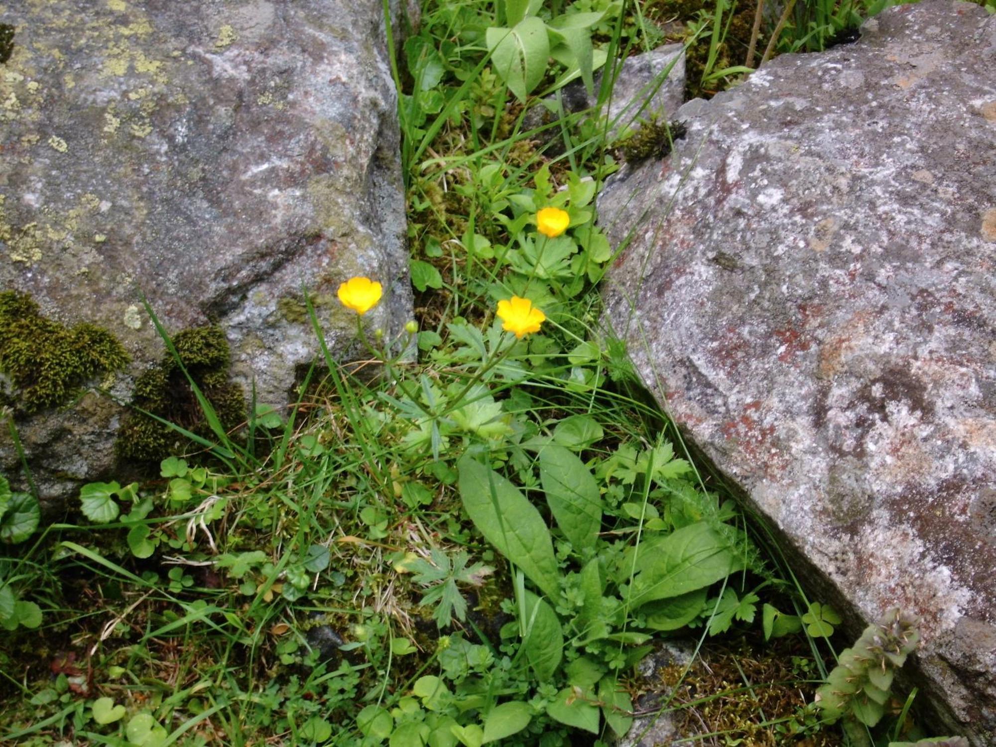 Landhaus Tirol Zellberg ภายนอก รูปภาพ