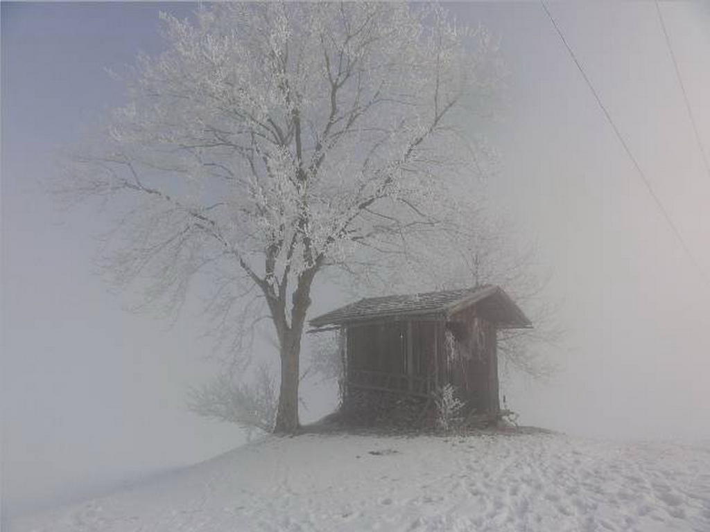 Landhaus Tirol Zellberg ภายนอก รูปภาพ