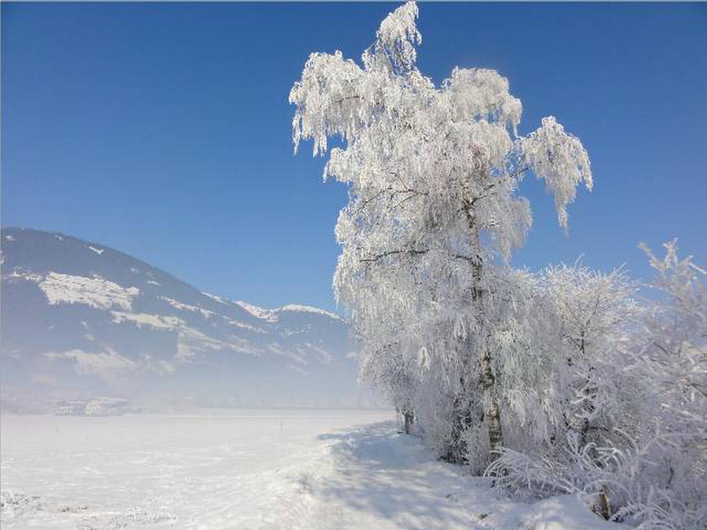 Landhaus Tirol Zellberg ภายนอก รูปภาพ