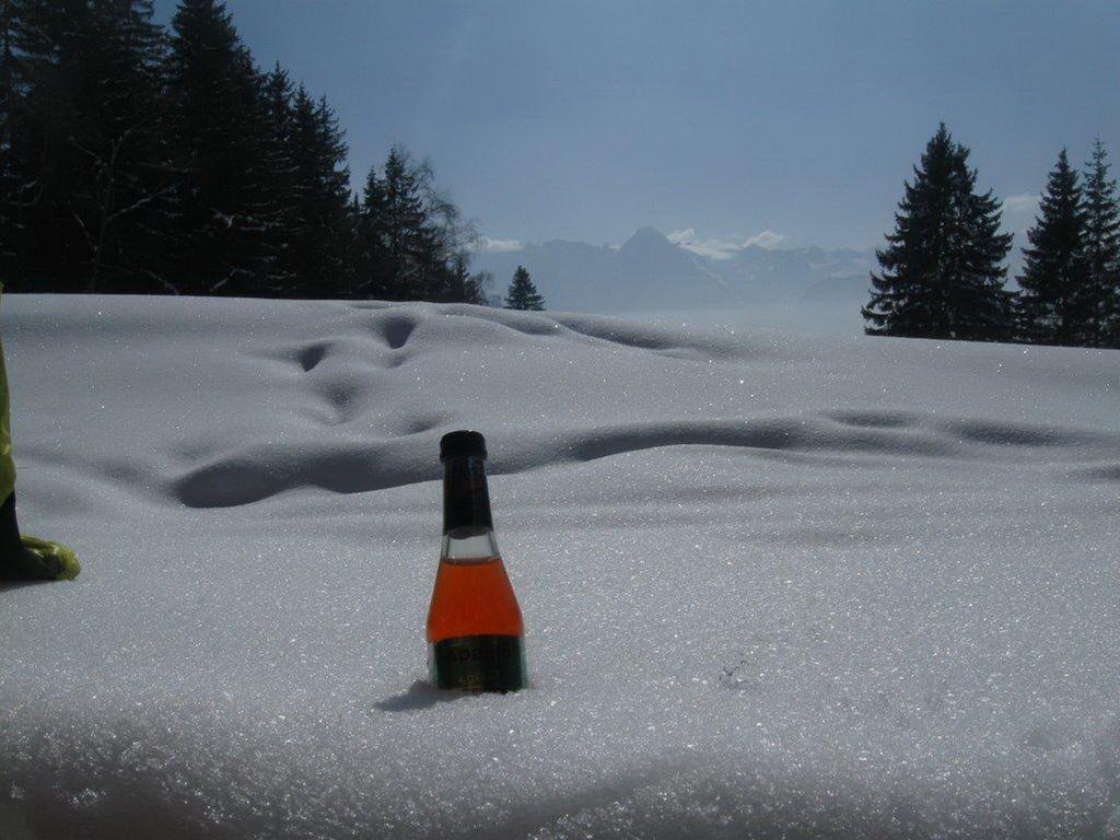 Landhaus Tirol Zellberg ภายนอก รูปภาพ